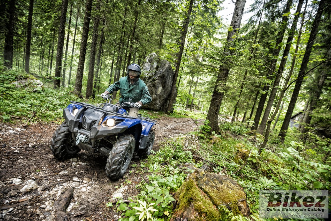 Yamaha Grizzly 450 EPS poster